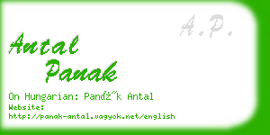 antal panak business card